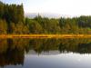 spittal-drau-egelsee-singlewandern-kaernten.jpg