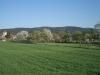 rosaliengebirge-katzelsdorf-singles-wandern-sommer.jpg