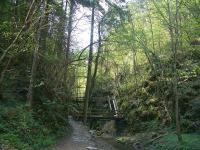 Bequeme Rundwanderung Ruine Schrattenbach und Johannesbachklamm