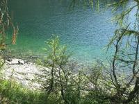 Rund um den smaragdgrünen Lunzer See und aufs Rehberg
