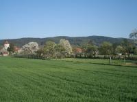 Rundwanderung im Rosaliengebirge