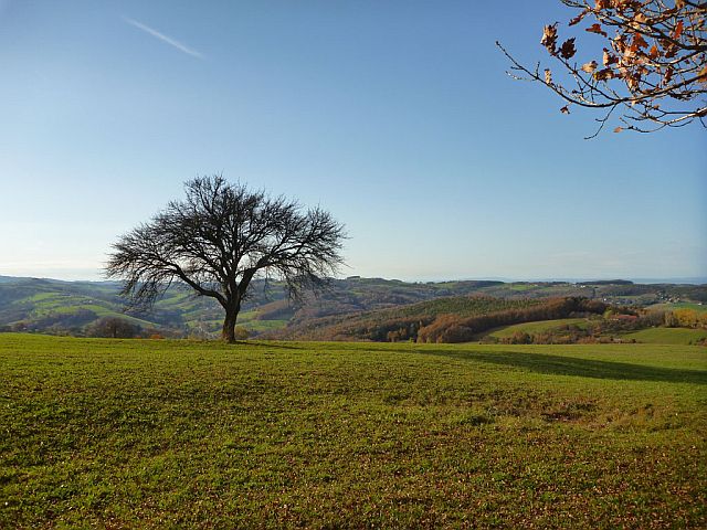 Singlewandern steyr