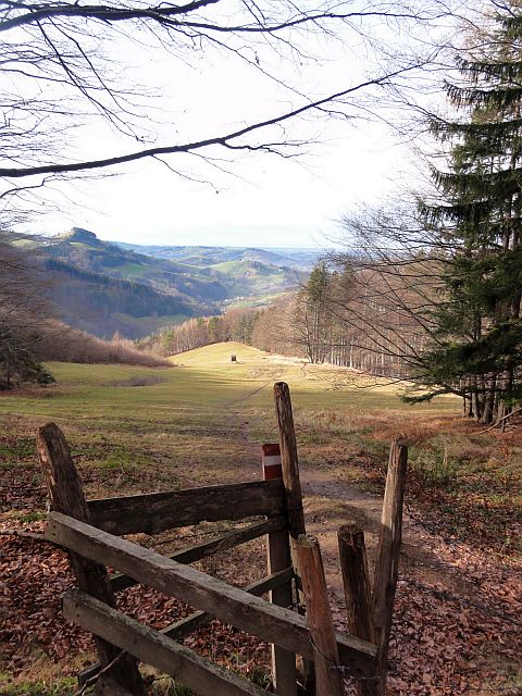 Singlewandern steyr