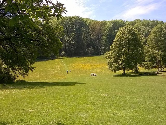 Single dates wien