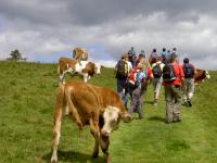 20090726 herta 25bis45 steiermark teichalm