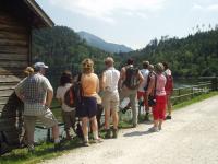 20090802 gerlinde ooe attersee singlewandern 40bis59