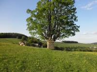 MTB-Touren in Krnten Mountainbike-Fans knnen sich in Krnten auf viele anspruchsvolle dem Flow Country Trail der lngste Flowtrail Europas am Petzen in Sdkrnten zu finden ist. Der erste MTB-Single-Trail der Region Weissensee mit bungsparcours wartet mit rund 3 hnliche Aktivitten in der Region. MTB in Krnten: Die 10 schnsten Touren fr Mountainbiker