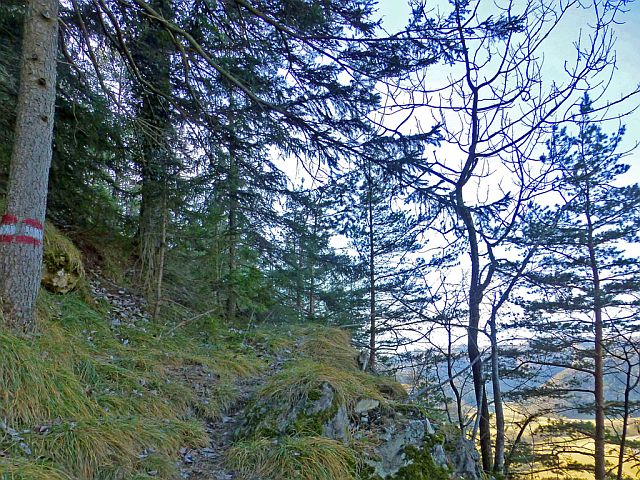 Single treffen kärnten