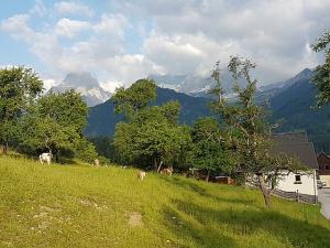 Angebote Single-Wanderreisen