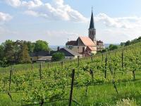single treffen niederösterreich