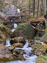 Single wanderungen niederösterreich
