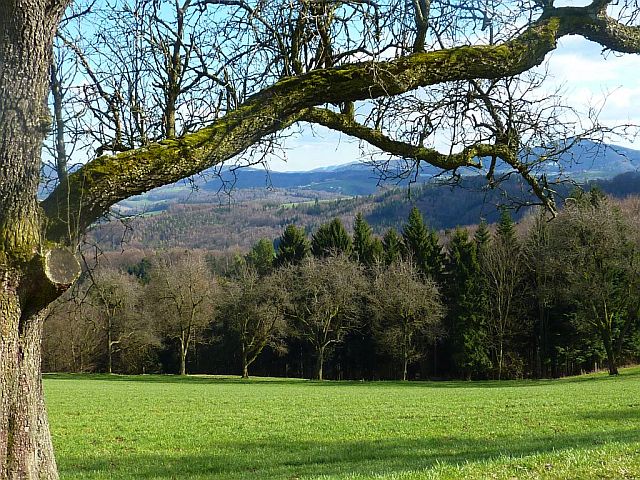 Singlewandern burgenland