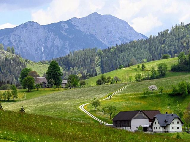 single wanderungen niederösterreich