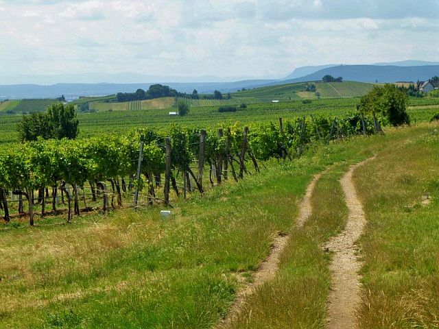 Österreich kennenlernen