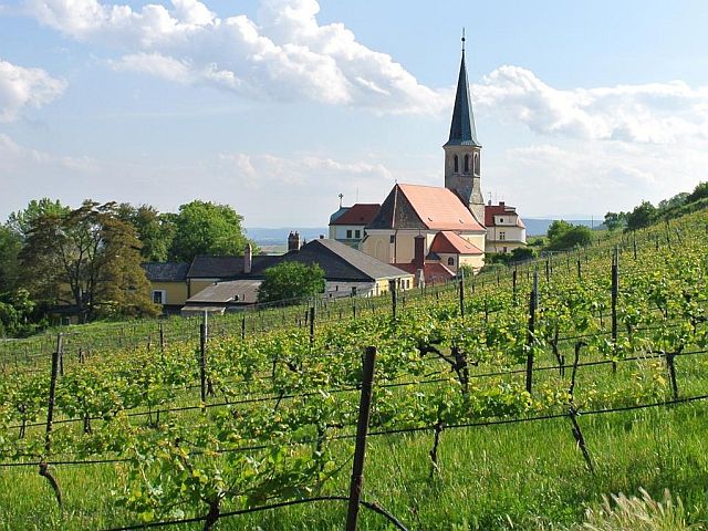 Single treffen kärnten
