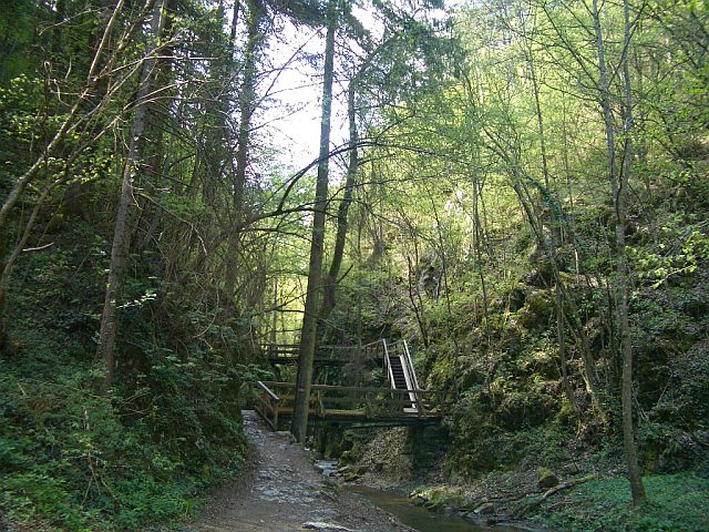Singlewandern neustadt