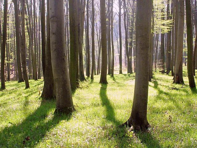 Singlewandern burgenland