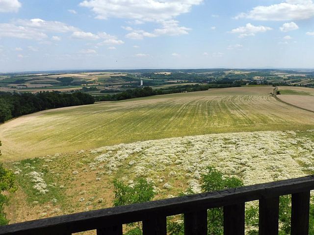 Singlewandern burgenland