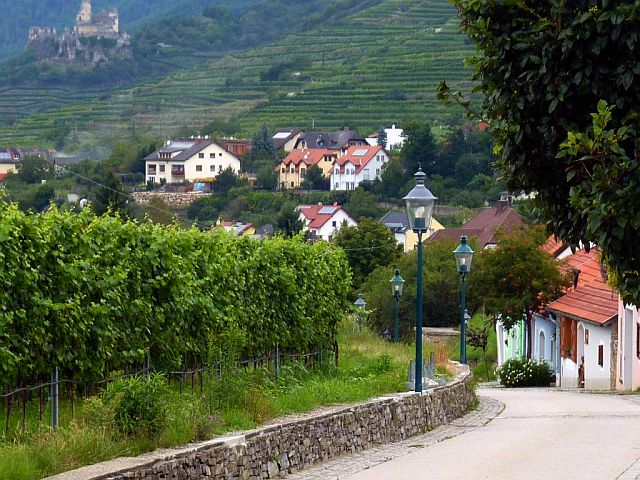 Singles burgenland