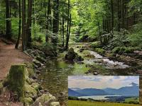 Oberndorf bei salzburg frauen aus treffen: Single kostenlos 