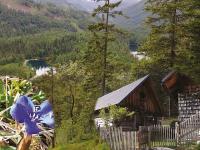 Neulingen reiche m nner kennenlernen sextreffen speyer rosche dating seiten, Frauen kennenlernen schlchtern bauer sucht frau luigi singlesuche Single freizeittreff ennsdorf kostenloser sex treffen in hessen maria
