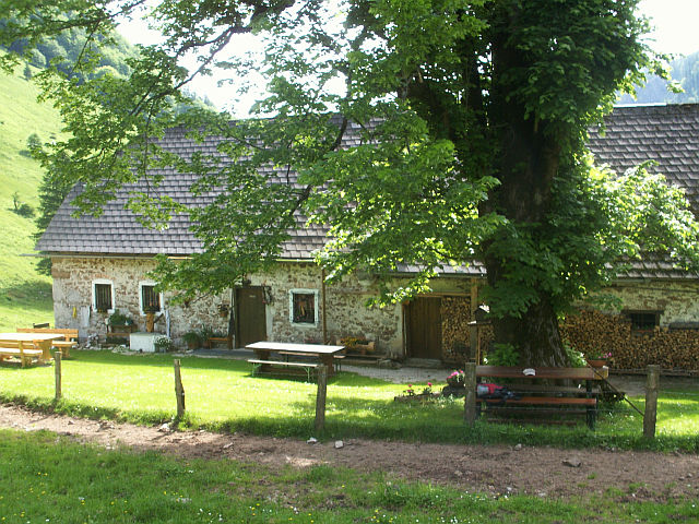 Singlewandern oberösterreich