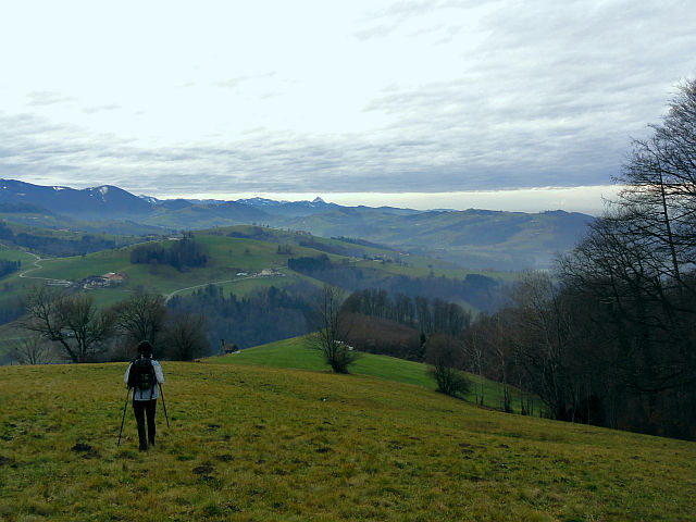 Singlewandern steyr