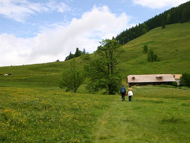 Österreich kennenlernen