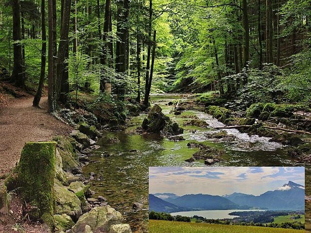 Singlewandern steyr