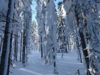Bad Leonfelden (Winter): Durchs verschneite Mühlviertler Hochland