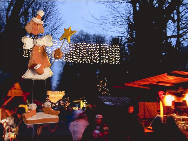 Singlewandern steyr