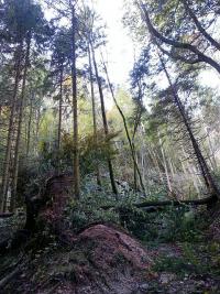 Single aktivitten voitsberg - Senioren kennenlernen aus 