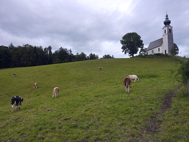 Single wandern salzburg