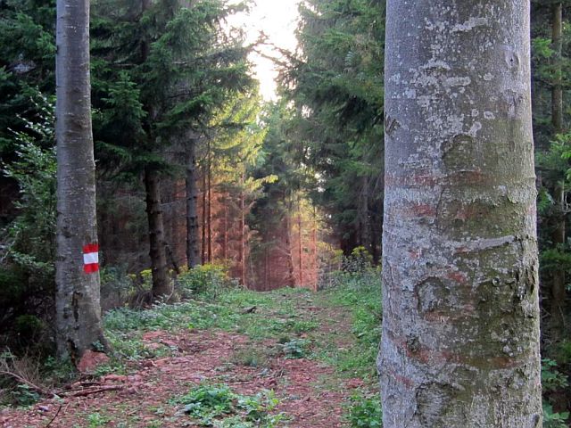 Single treffen lingen