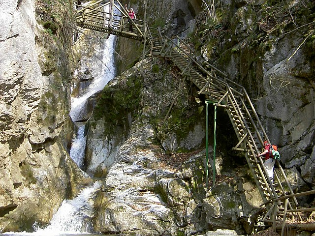 Singlewandern graz