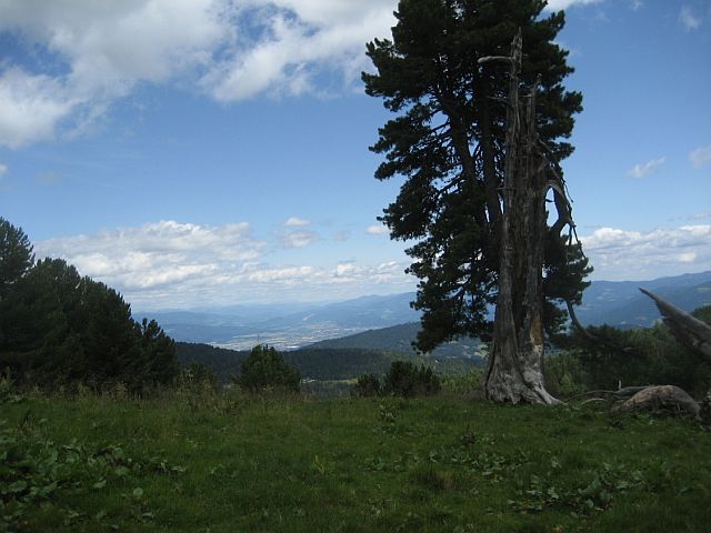 Single wandern innsbruck