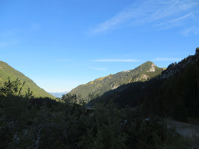 Singletreffen vorarlberg