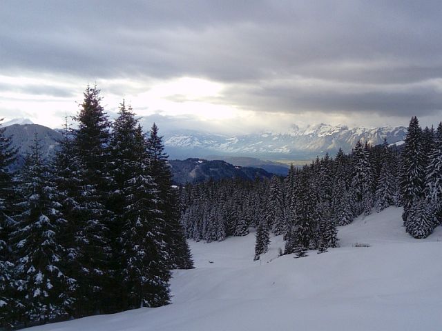 Singletreffen vorarlberg