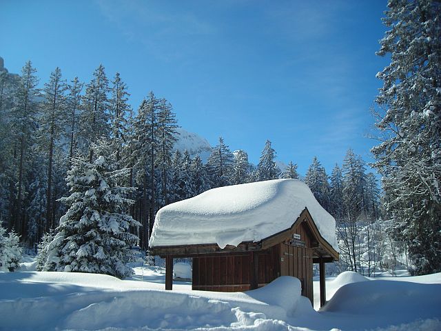 Singles kennenlernen tirol