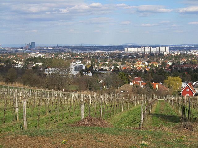 Leute kennenlernen in wien
